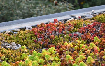 the cost of Donyatt green roof installation