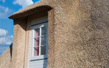 Donyatt thatch roof disadvantages